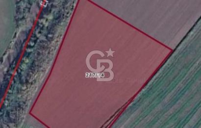 Tekirdağ,Muratlı,Kurtpınar,Paskal'da OSB yakınında tarla