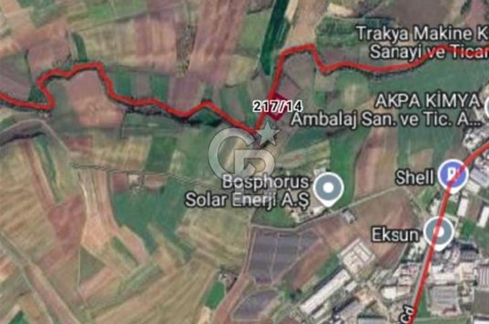 Tekirdağ,Muratlı,Kurtpınar,Paskal'da OSB yakınında tarla