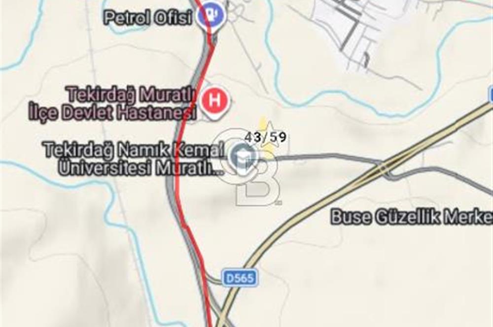 Tekirdağ,Muratlı,Muradiye,Koru Altında müstakil tarla