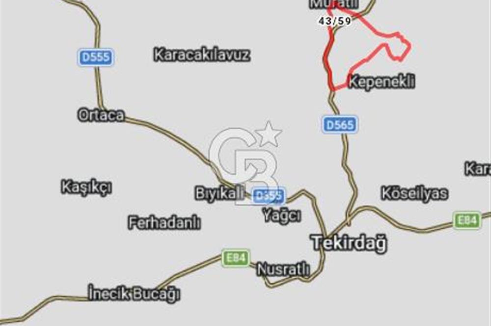 Tekirdağ,Muratlı,Muradiye,Koru Altında müstakil tarla