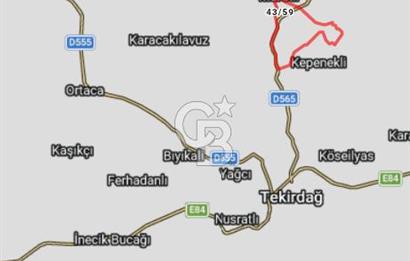 Tekirdağ,Muratlı,Muradiye,Koru Altında müstakil tarla