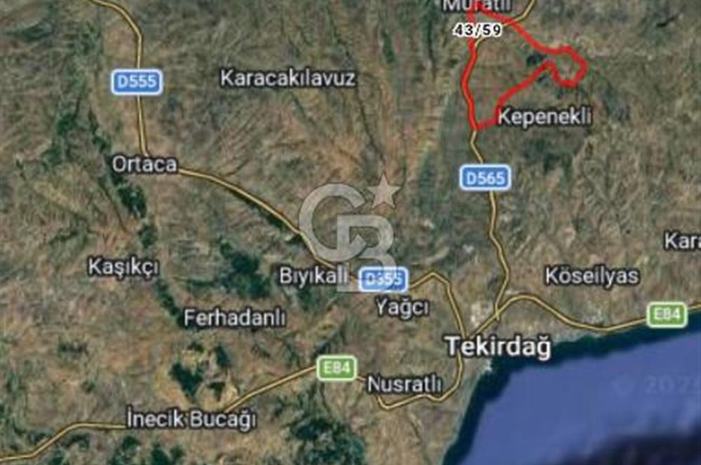 Tekirdağ,Muratlı,Muradiye,Koru Altında müstakil tarla