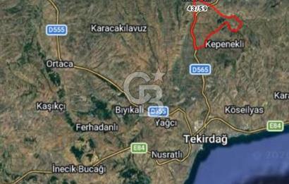 Tekirdağ,Muratlı,Muradiye,Koru Altında müstakil tarla