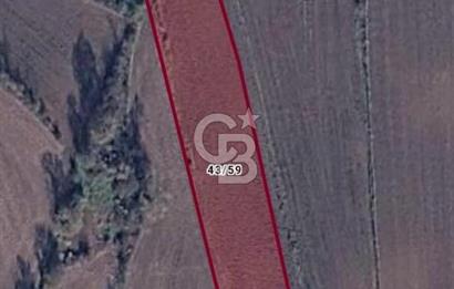 Tekirdağ,Muratlı,Muradiye,Koru Altında müstakil tarla