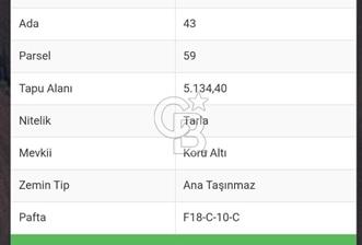 Tekirdağ,Muratlı,Muradiye,Koru Altında müstakil tarla - 10 - 351501