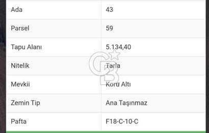 Tekirdağ,Muratlı,Muradiye,Koru Altında müstakil tarla