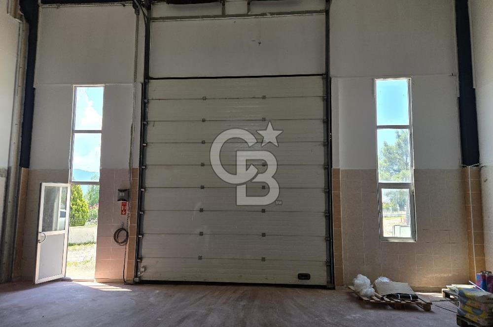 BURSA ORHANGAZİ ORZİM KİRALIK İŞ YERİ FABRİKA DEPO!. 450M2