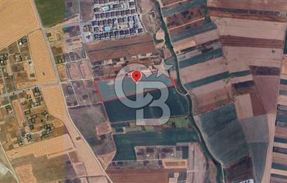 İstanbul Silivri Çanta'da 57.914 m² Villa İmarlı Satılık Arsa