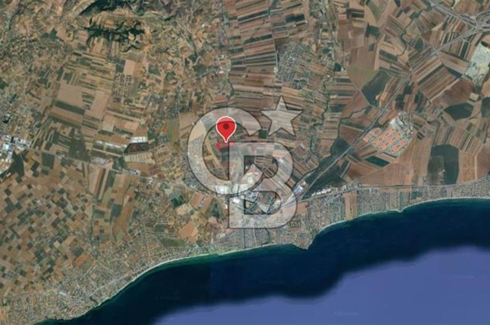 İstanbul Silivri Çanta'da 57.914 m² Villa İmarlı Satılık Arsa