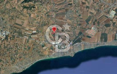 İstanbul Silivri Çanta'da 57.914 m² Villa İmarlı Satılık Arsa