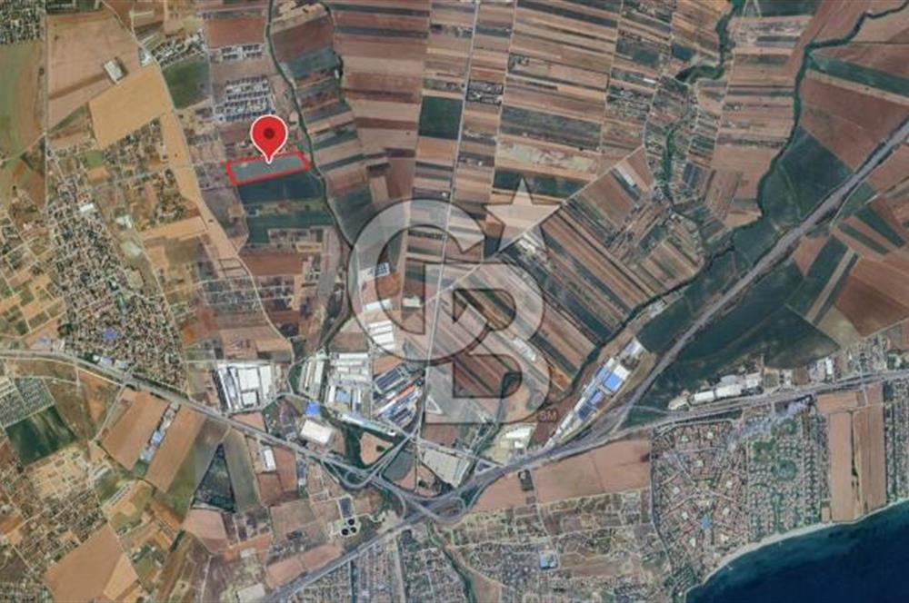 İstanbul Silivri Çanta'da 57.914 m² Villa İmarlı Satılık Arsa
