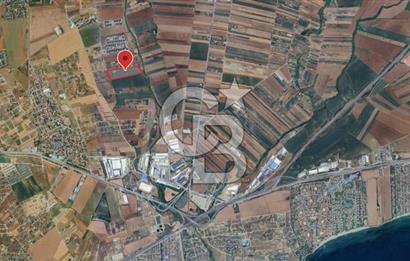 İstanbul Silivri Çanta'da 57.914 m² Villa İmarlı Satılık Arsa