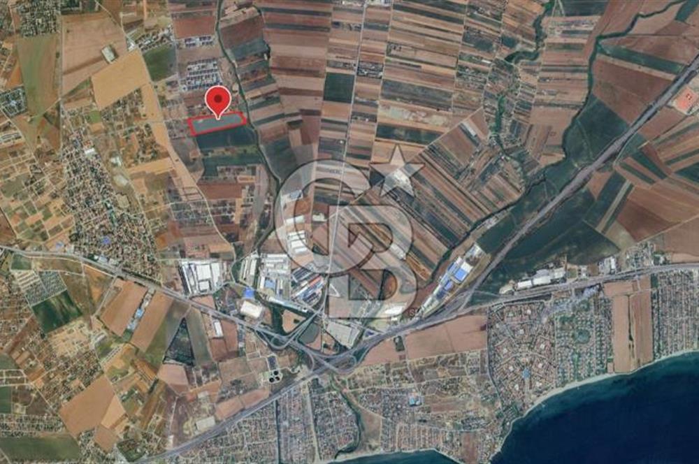 İstanbul Silivri Çanta'da 57.914 m² Villa İmarlı Satılık Arsa
