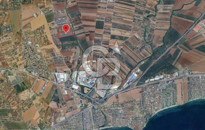 İstanbul Silivri Çanta'da 57.914 m² Villa İmarlı Satılık Arsa