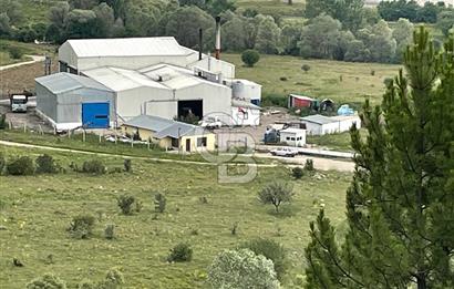 ANAHTAR TESLİM FAAL RENDERING HAYVANSAL YAĞ ÜRETİM TESİSİ | YÜKSEK KAPASİTELİ VE KARLI SANAYİ YATIRIMI