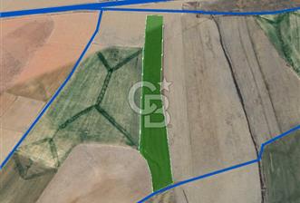 Niğde Bor Kemerhisar’da 28.256 m² Resmi Yolu Olan Asfalta 50 metre Tarla - 1 - 351526