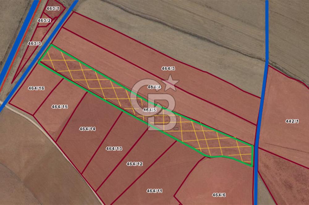 Niğde Bor Kemerhisar’da 28.256 m² Resmi Yolu Olan Asfalta 50 metre Tarla