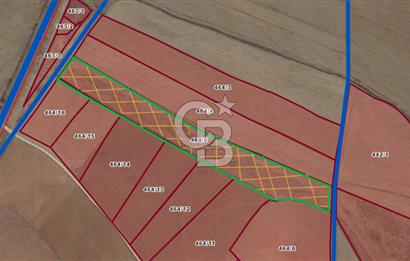 Niğde Bor Kemerhisar’da 28.256 m² Resmi Yolu Olan Asfalta 50 metre Tarla