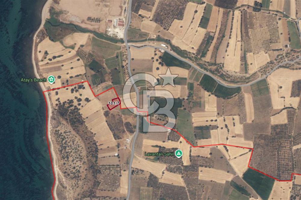 ÇANAKKALE EZİNE ALEMŞAH 2600 M2 SATILIK TARLA