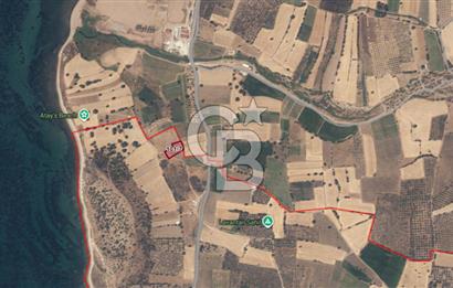 ÇANAKKALE EZİNE ALEMŞAH 2600 M2 SATILIK TARLA