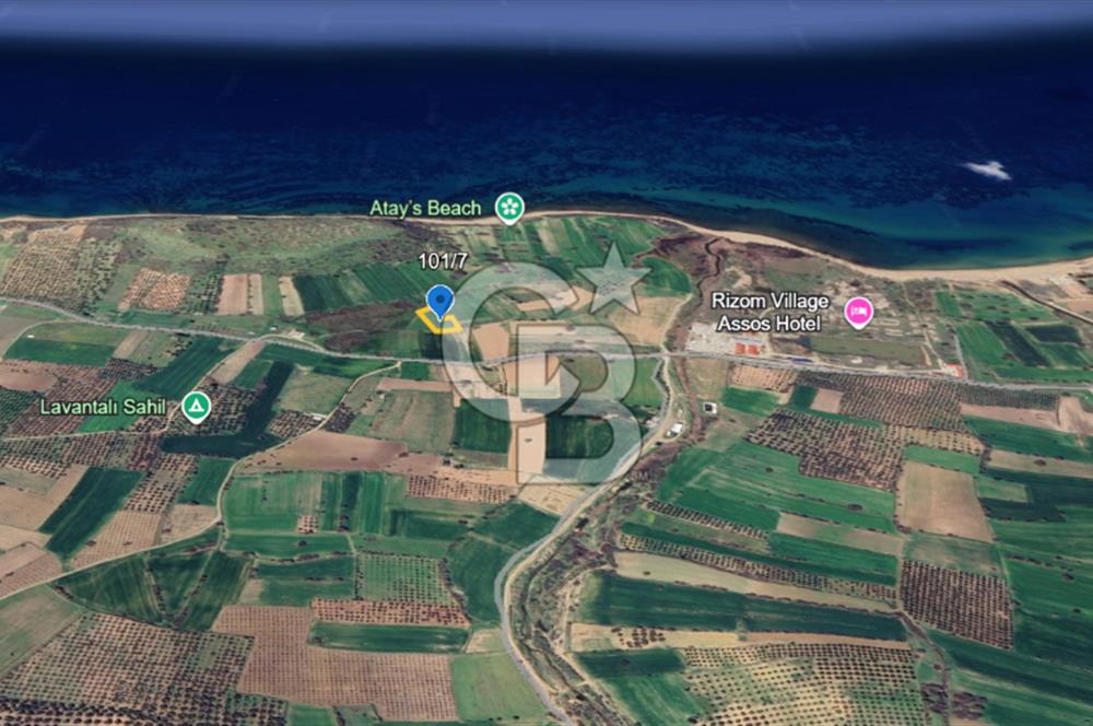 ÇANAKKALE EZİNE ALEMŞAH 2600 M2 SATILIK TARLA