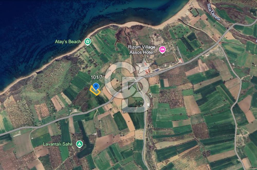 ÇANAKKALE EZİNE ALEMŞAH 2600 M2 SATILIK TARLA