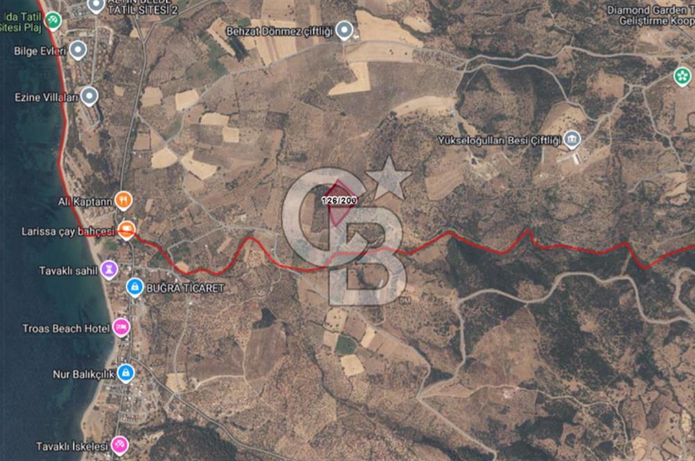 ÇANAKKALE EZİNE ALEMŞAH SATILIK 17909 M2 TARLA