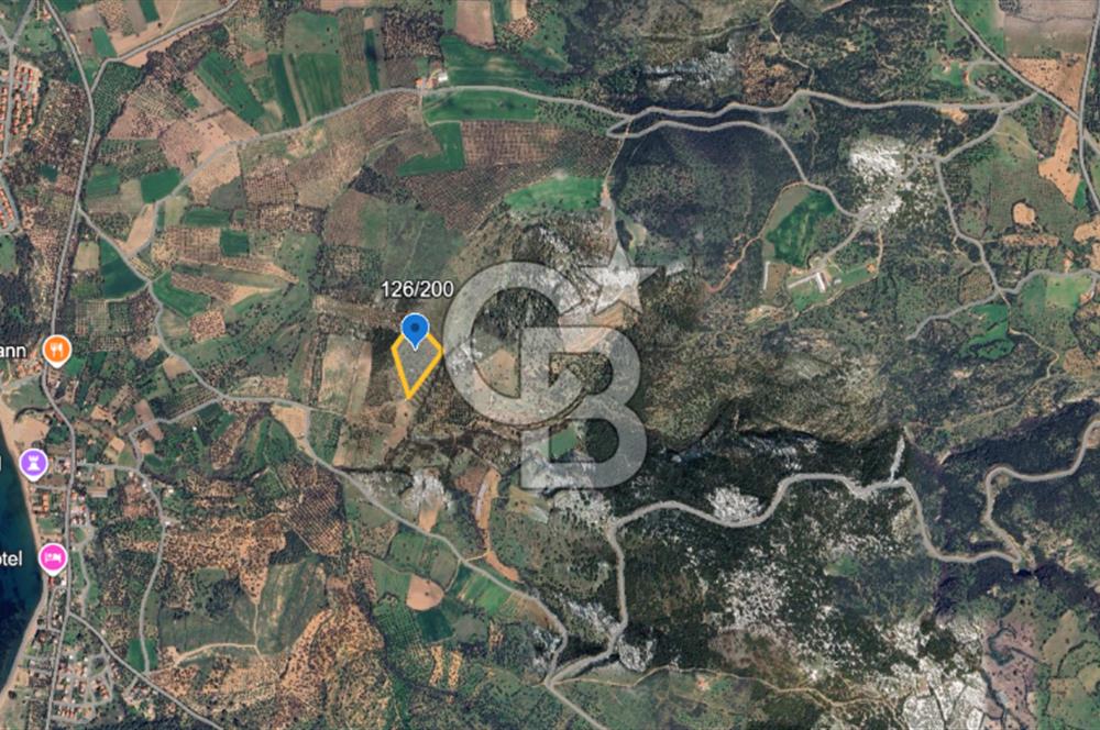 ÇANAKKALE EZİNE ALEMŞAH SATILIK 17909 M2 TARLA