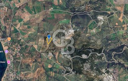 ÇANAKKALE EZİNE ALEMŞAH SATILIK 17909 M2 TARLA