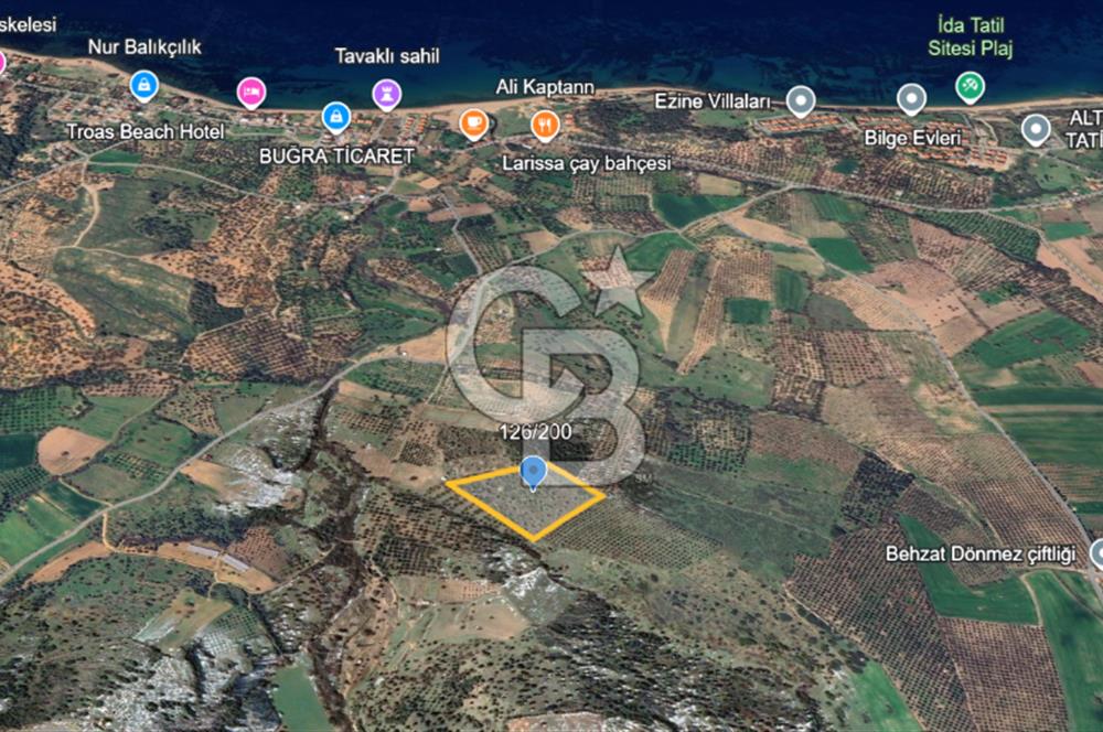 ÇANAKKALE EZİNE ALEMŞAH SATILIK 17909 M2 TARLA