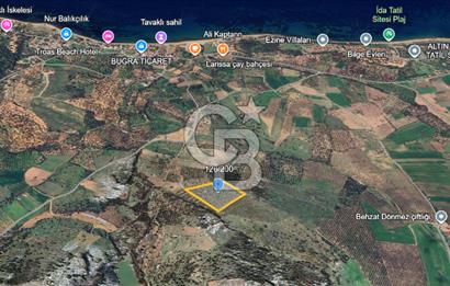 ÇANAKKALE EZİNE ALEMŞAH SATILIK 17909 M2 TARLA