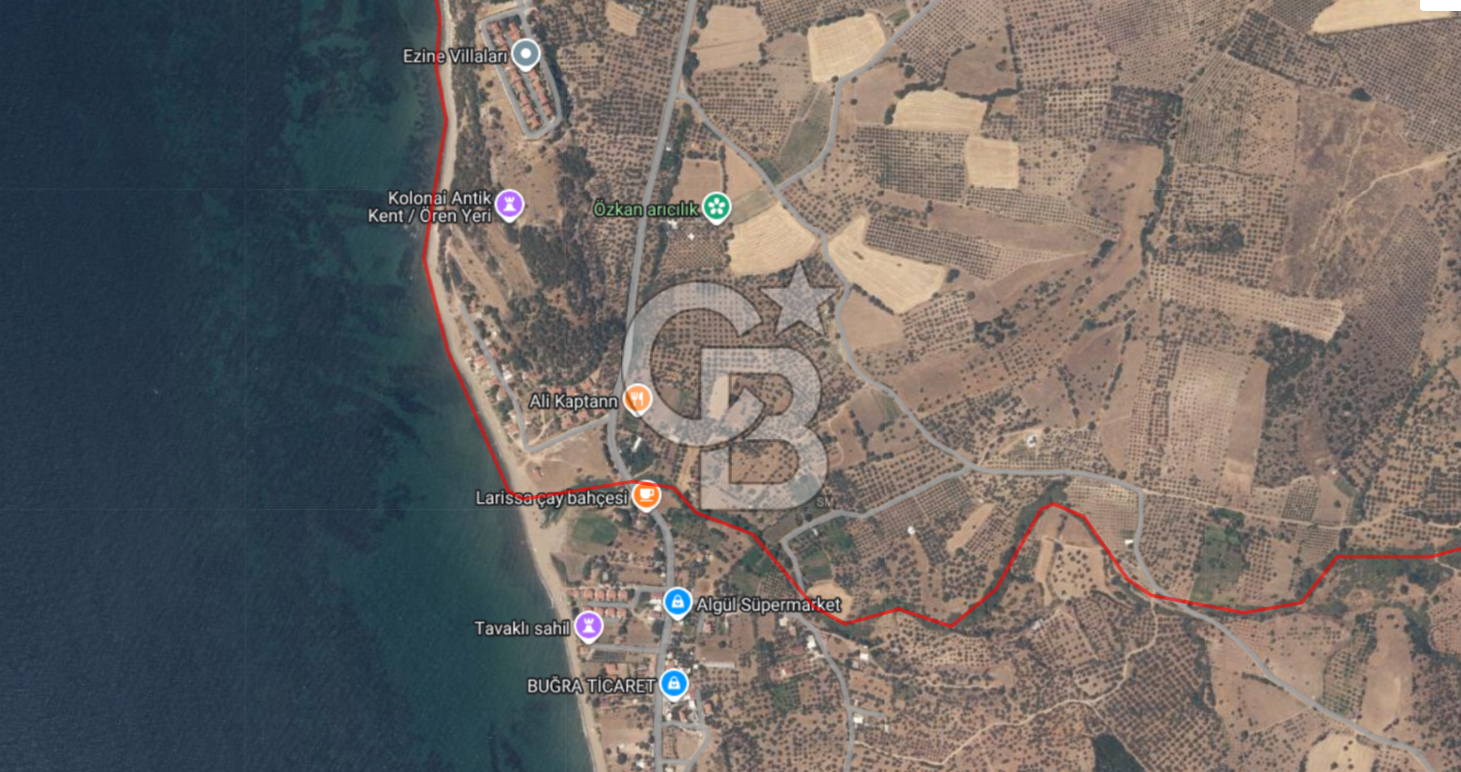 ÇANAKKALE ALEMŞAH SATILIK 5000 M2 ZEYTİNLİK