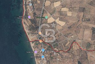 ÇANAKKALE ALEMŞAH SATILIK 5000 M2 ZEYTİNLİK - 7 - 351519