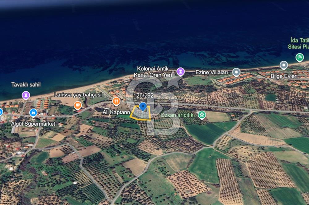 ÇANAKKALE ALEMŞAH SATILIK 5000 M2 ZEYTİNLİK