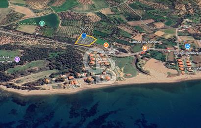 ÇANAKKALE ALEMŞAH SATILIK 5000 M2 ZEYTİNLİK