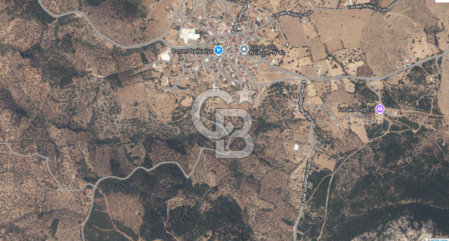 ÇANAKKALE EZİNE TAVAKLI 2420 M2 SATILIK ZEYTİNLİK
