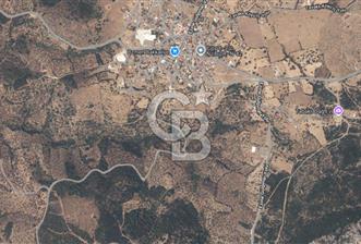 ÇANAKKALE EZİNE TAVAKLI 2420 M2 SATILIK ZEYTİNLİK - 8 - 351532