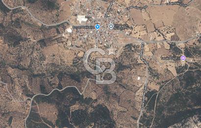 ÇANAKKALE EZİNE TAVAKLI 2420 M2 SATILIK ZEYTİNLİK