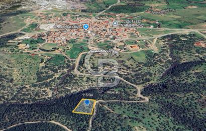 ÇANAKKALE EZİNE TAVAKLI 2420 M2 SATILIK ZEYTİNLİK