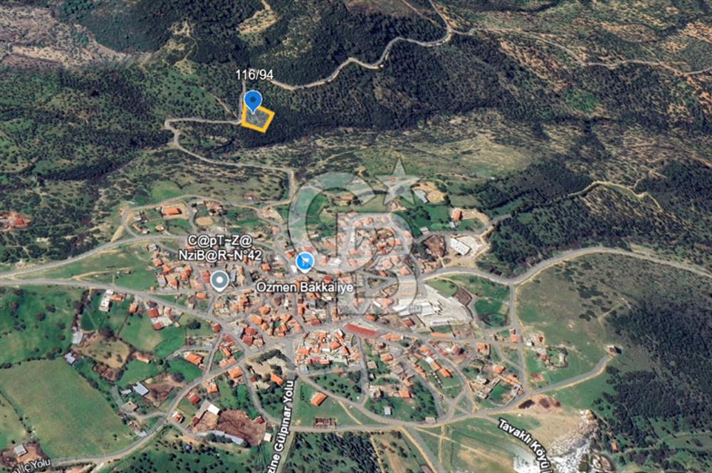 ÇANAKKALE EZİNE TAVAKLI 2420 M2 SATILIK ZEYTİNLİK