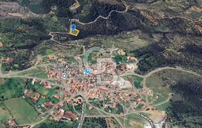 ÇANAKKALE EZİNE TAVAKLI 2420 M2 SATILIK ZEYTİNLİK