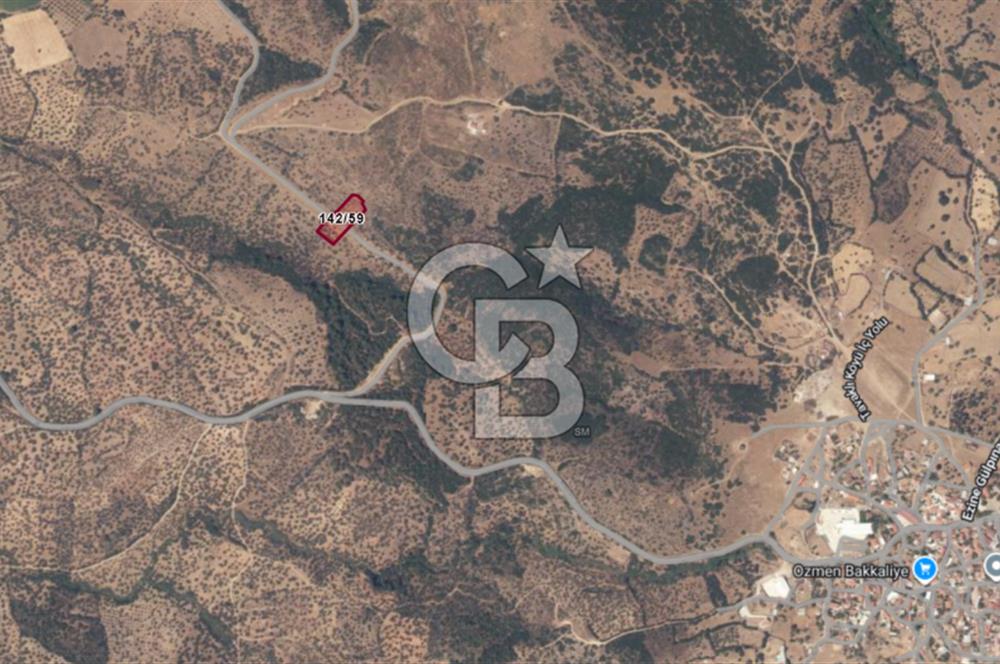 ÇANAKKALE EZİNE TAVAKLI SATILIK 2975 M2 ZEYTİNLİK