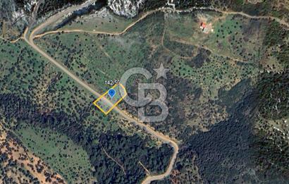 ÇANAKKALE EZİNE TAVAKLI SATILIK 2975 M2 ZEYTİNLİK