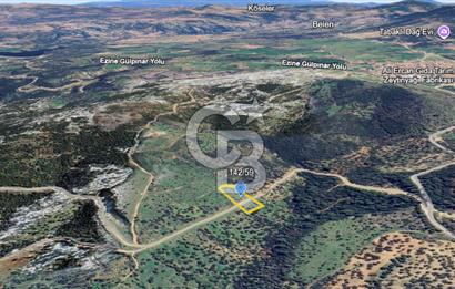 ÇANAKKALE EZİNE TAVAKLI SATILIK 2975 M2 ZEYTİNLİK