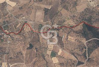 ÇANAKKALE EZİNE TAVAKLI SATILIK 4848 M2 TARLA - 5 - 351521