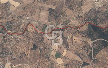 ÇANAKKALE EZİNE TAVAKLI SATILIK 4848 M2 TARLA