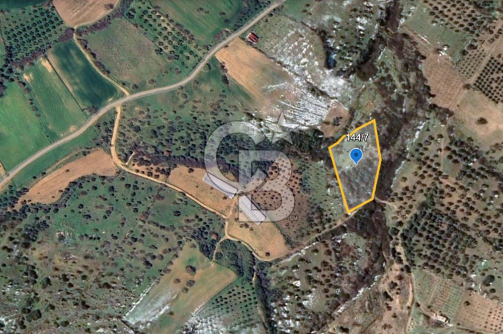 ÇANAKKALE EZİNE TAVAKLI SATILIK 4848 M2 TARLA