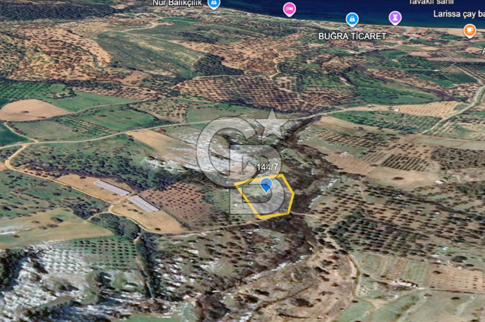 ÇANAKKALE EZİNE TAVAKLI SATILIK 4848 M2 TARLA