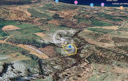 ÇANAKKALE EZİNE TAVAKLI SATILIK 4848 M2 TARLA