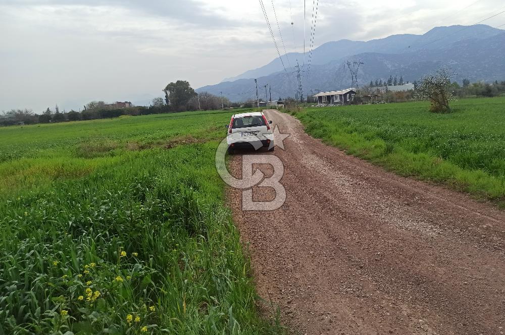 DÖŞEMEALTI SELİMİYE TEK TAPU YATIRIMLIK TARLA !!!